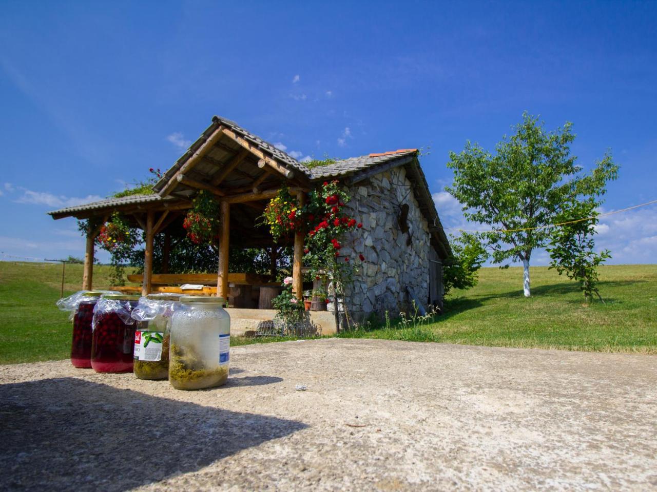 House Josipa Hotel Rakovica Exterior foto